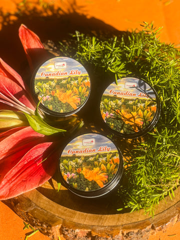 Canadian Lily Tin Candle